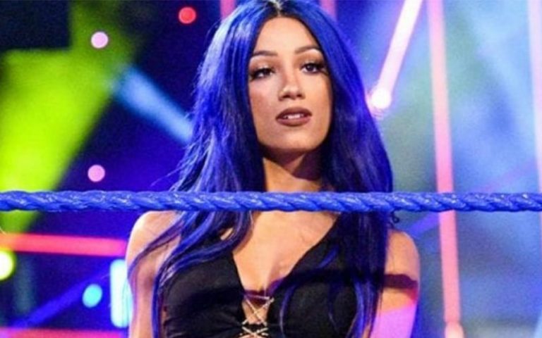 Sasha Banks Says WWE Women’s Division Is The Best It’s Ever Been