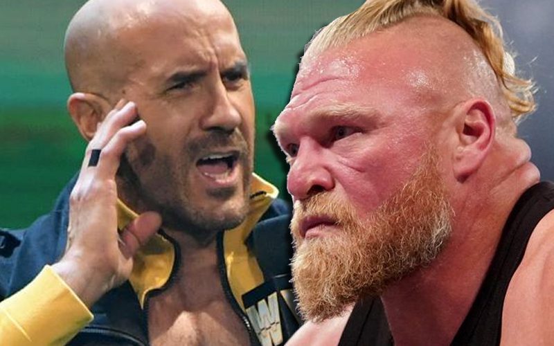 Cesaro Teases Brock Lesnar After Indefinite Suspension From WWE