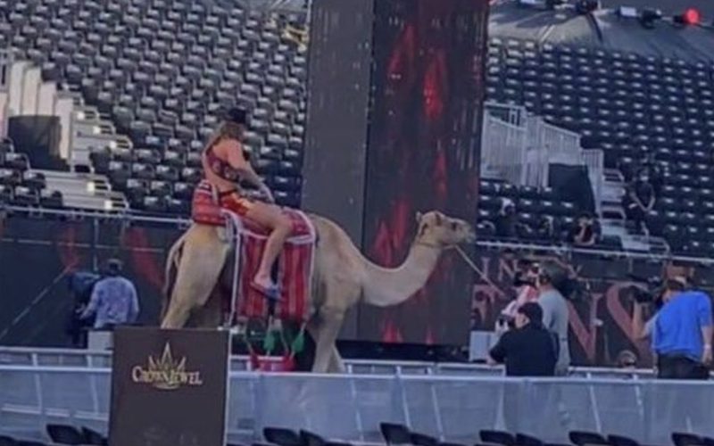 Matt Riddle Spotted Riding Camel At WWE Crown Jewel Venue