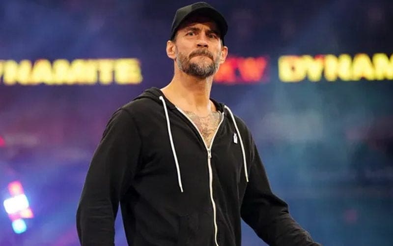 CM Punk Trends After Telling Off Fans At Airport Looking For Autographs