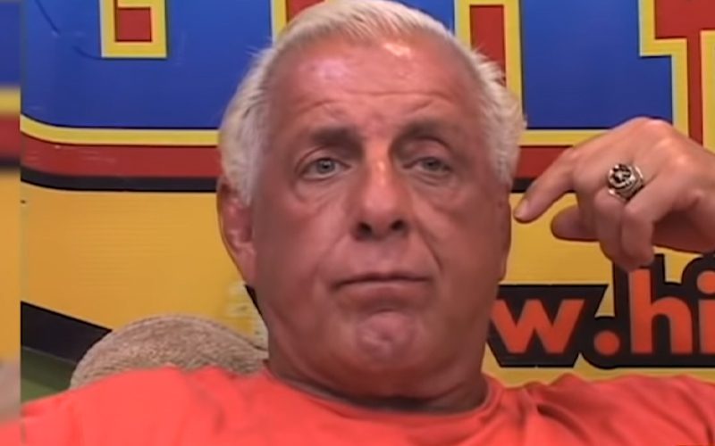 Ric Flair Says He Will Never Go Back To WWE