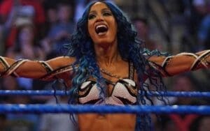 Sasha Banks Says There's No Such Thing As Heel Or Babyface For Her WWE Character