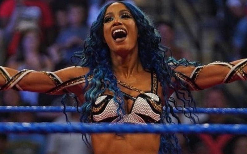 Sasha Banks Wants To Be A Global Superstar Like The Rock & John Cena