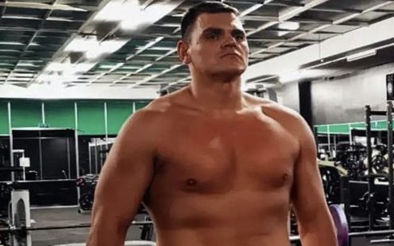 WALTER Looks Absolutely Ripped Amidst WWE Main Roster Rumors