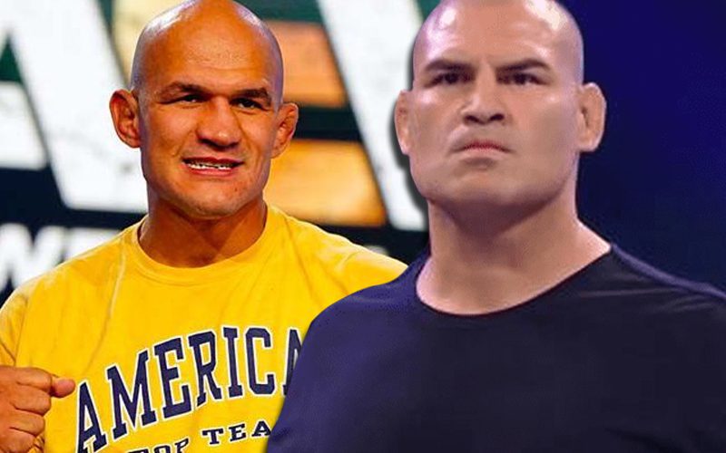 AAA Tried To Book Junior dos Santos With Cain Velasquez At TripleMania Regia II