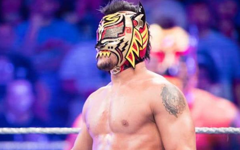 Lince Dorado Reacts To Report About His WWE Release
