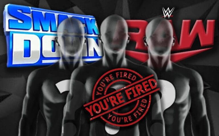 WWE Discussed Releasing A Lot More Veteran Superstars