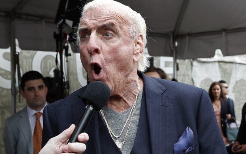 Ric Flair Fires Back At Fans Who Claim He Is Looking For A Job