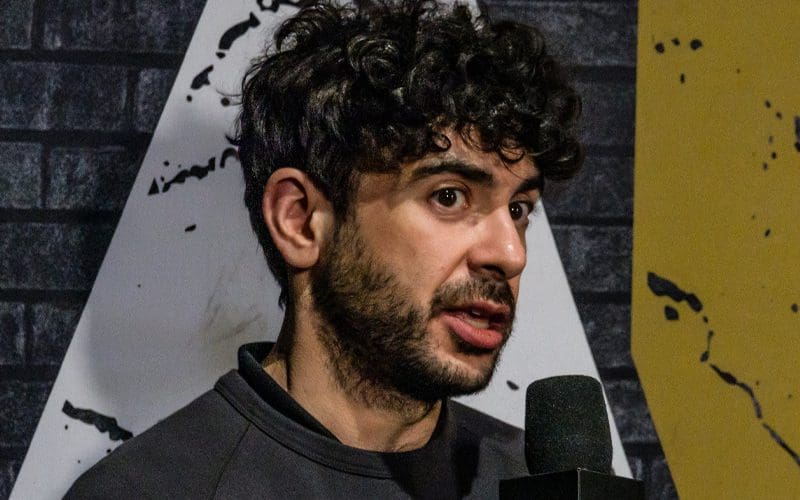 Tony Khan Shades WWE For Having Multiple Rematches