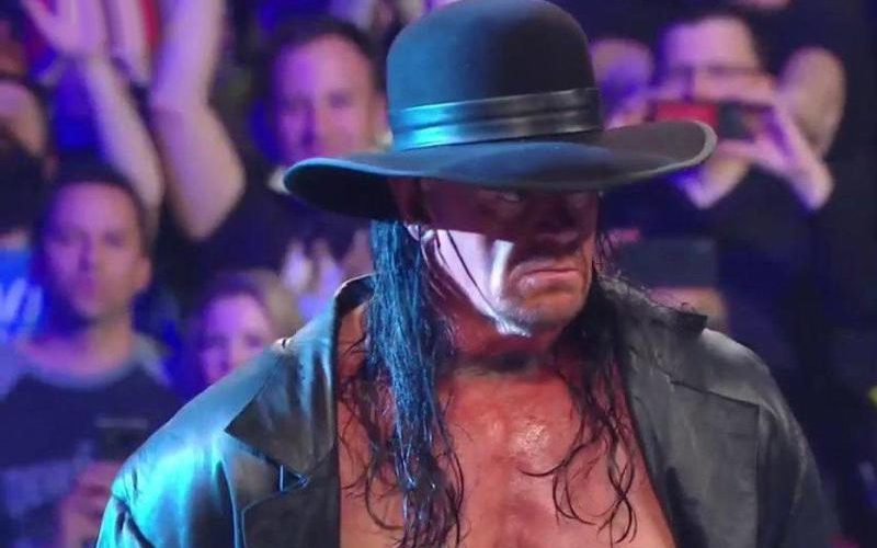 The Undertaker Announced For WWE Program On Day Of Survivor Series