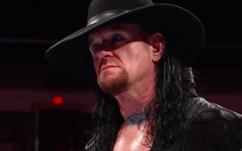 The Undertaker Breaks His Silence On His WWE Hall Of Fame Induction