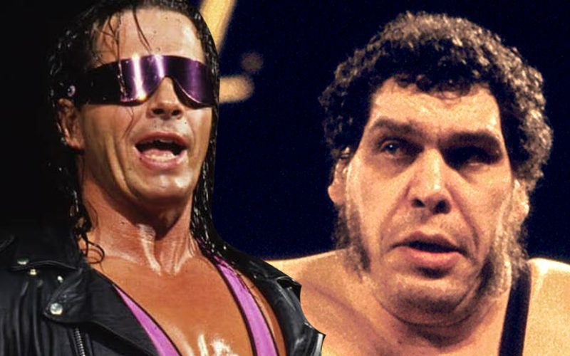 Bret Hart Says He Could Beat Andre The Giant & Make It Believable