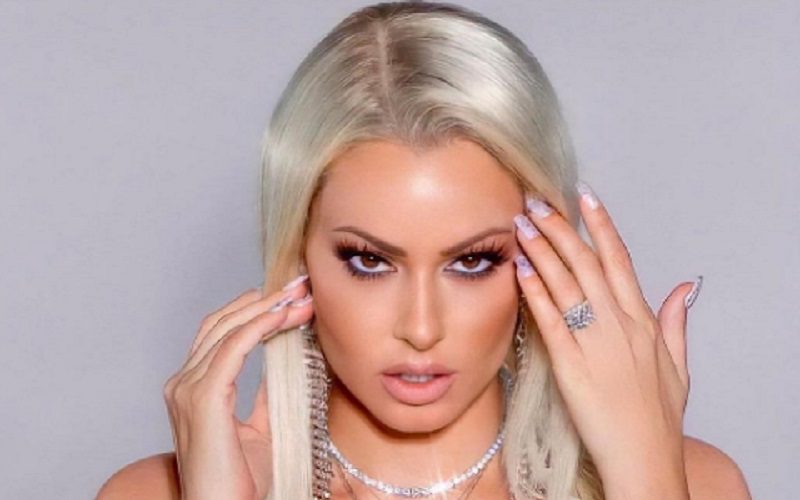 Maryse Gives Fans Chills With Revealing Christmas Photo