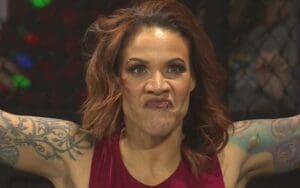 Mercedes Martinez Sees A Different Role For Herself In WWE