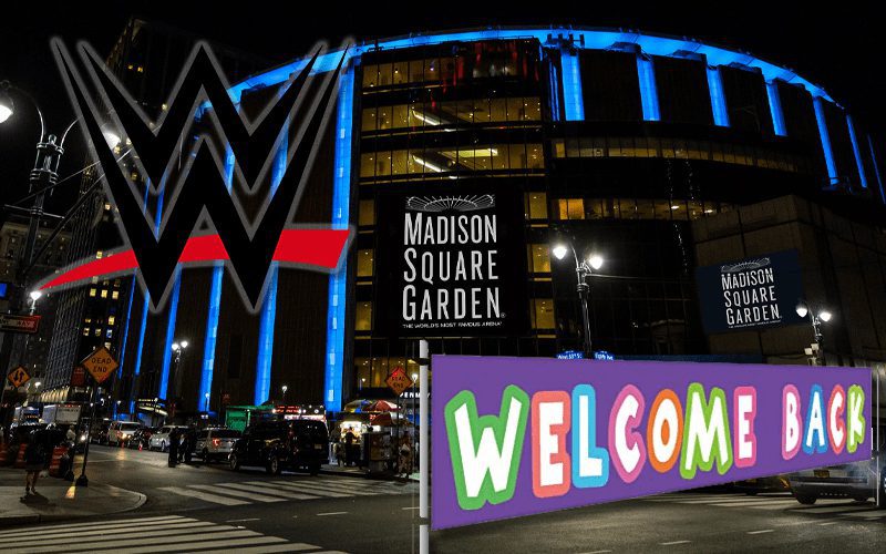 WWE Schedules Two Cage Matches For Madison Square Garden Return