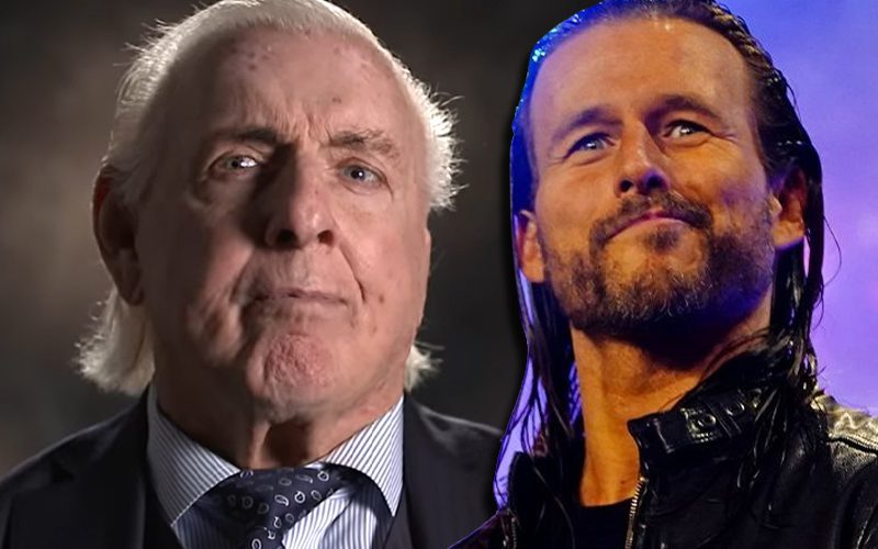 Ric Flair Thinks Adam Cole Has Gotten Over Better Than CM Punk & Bryan Danielson