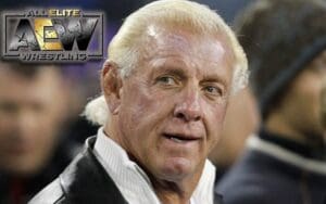 Ric Flair Called Out For Trying To Get Hired By AEW