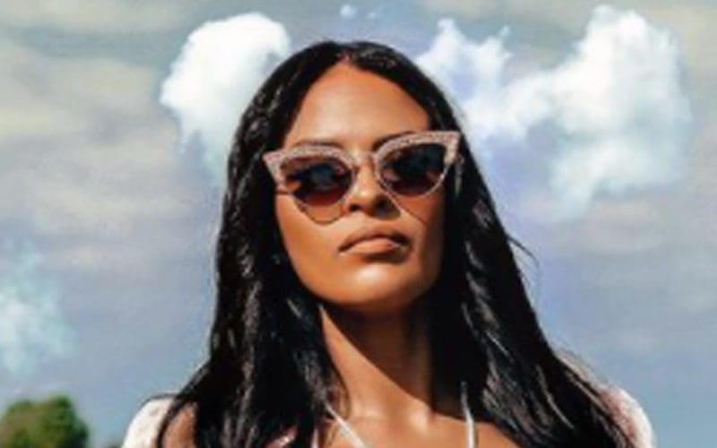 Zelina Vega Wants To Talk About Anime With Sultry Bikini Photo Drop