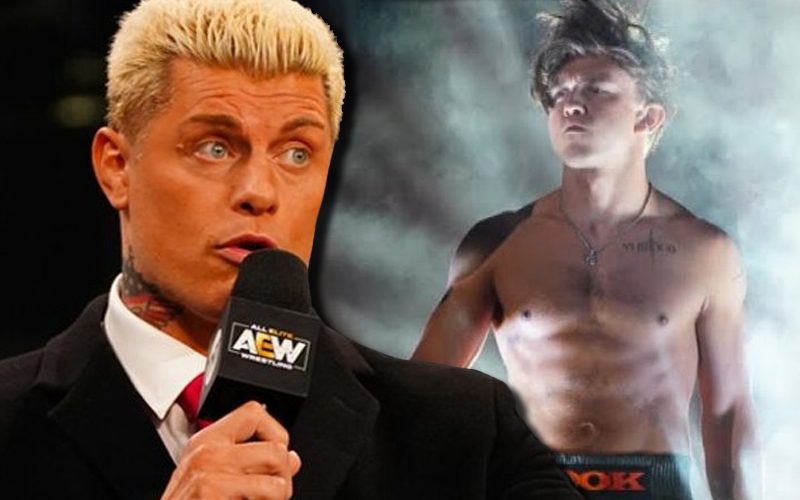 Cody Rhodes Doesn’t Want Hook To Be Only Seen As A Meme Wrestler