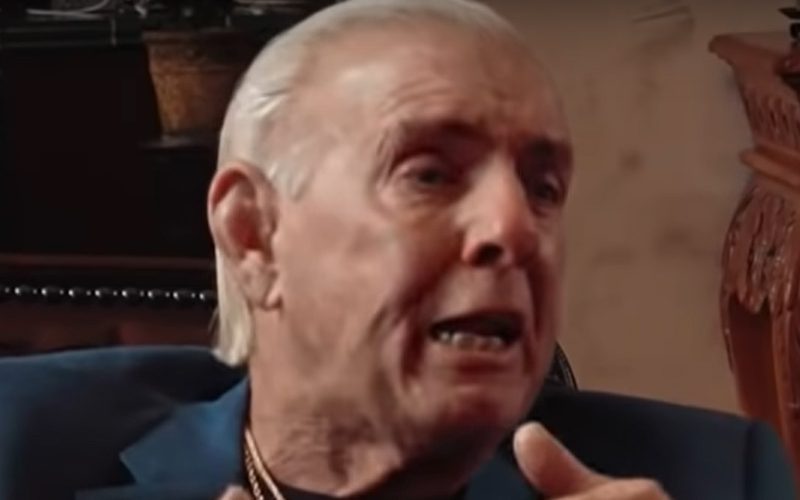 Ric Flair Thinks Too Many Titles In A Company Dilutes Their Value