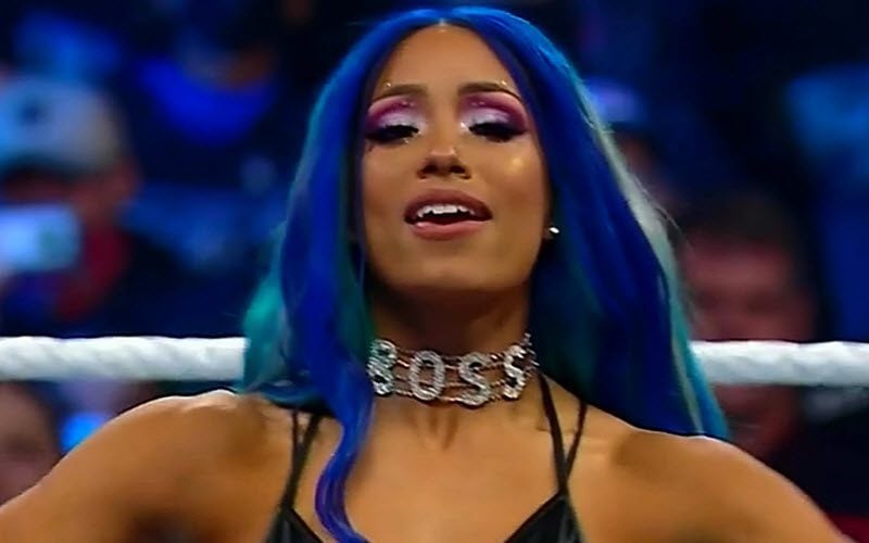 Sasha Banks Claims Vince McMahon Hit Her Up To Form Tag Team With Naomi