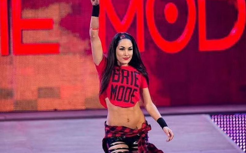 Brie Bella Not Sure If She’ll Make WWE Return After Royal Rumble Appearance