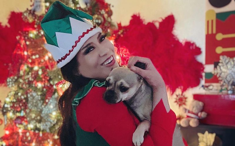 Melina Perez Says Goodbye To Her Pet Dog Bandit