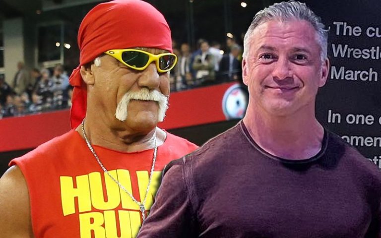 Shane McMahon Asks Hulk Hogan If He’s Got One More Match In Him