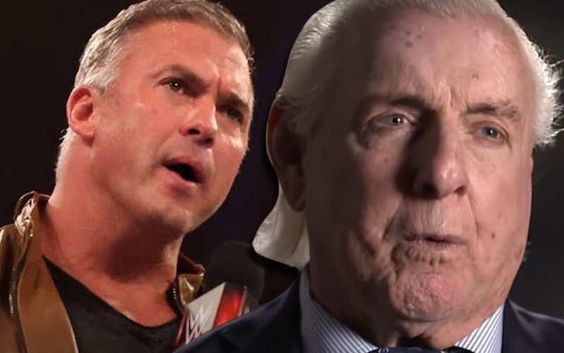 Ric Flair Thinks Shane McMahon Leaving WWE Could Be A Work