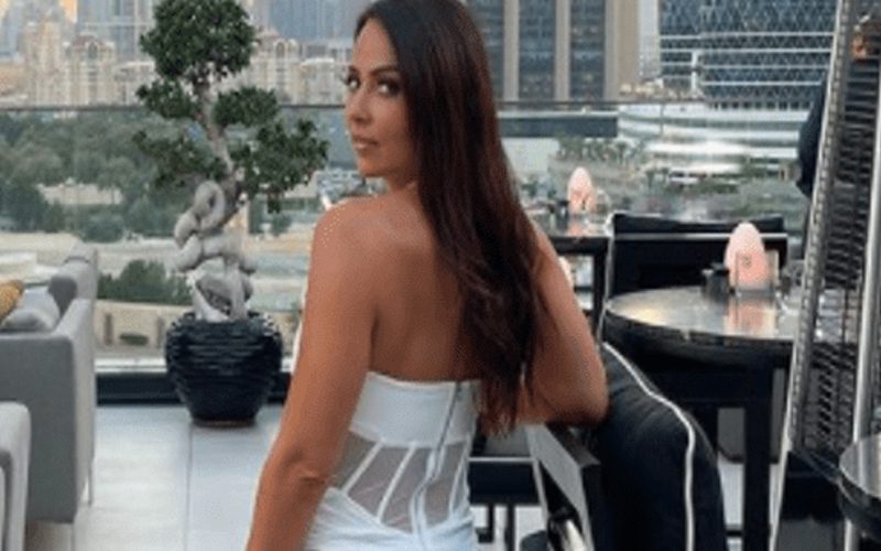 Tenille Dashwood Shows Off The Sunset In Stunning Sheer Dress