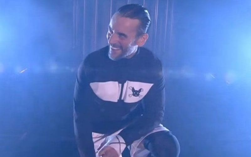 CM Punk Deletes Overly Harsh Tweet At Fan Over His AEW Revolution Entrance