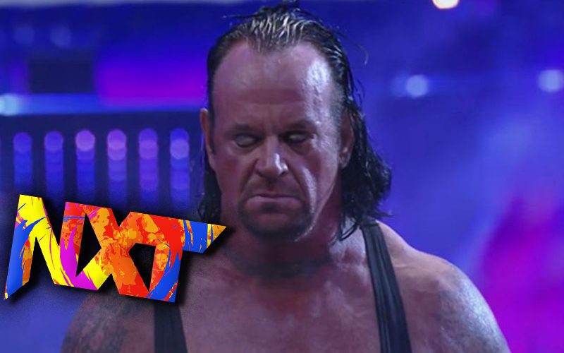 The Undertaker Believes NXT 2.0 Is A Great Vehicle To Jumpstart Careers