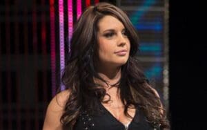 Kaitlyn Asked For Her WWE Release Because She Was In Self-Destruct Mode