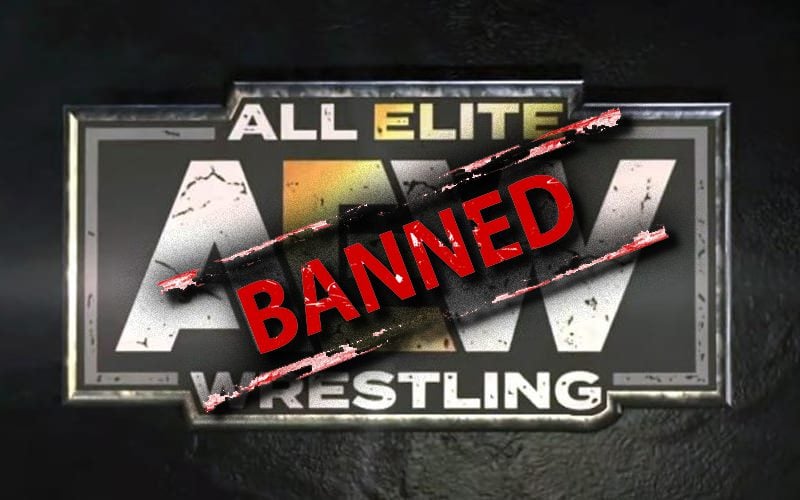 AEW Bans Fan From Holding Signs After ‘End Forced Motherhood’ Makes It On Air