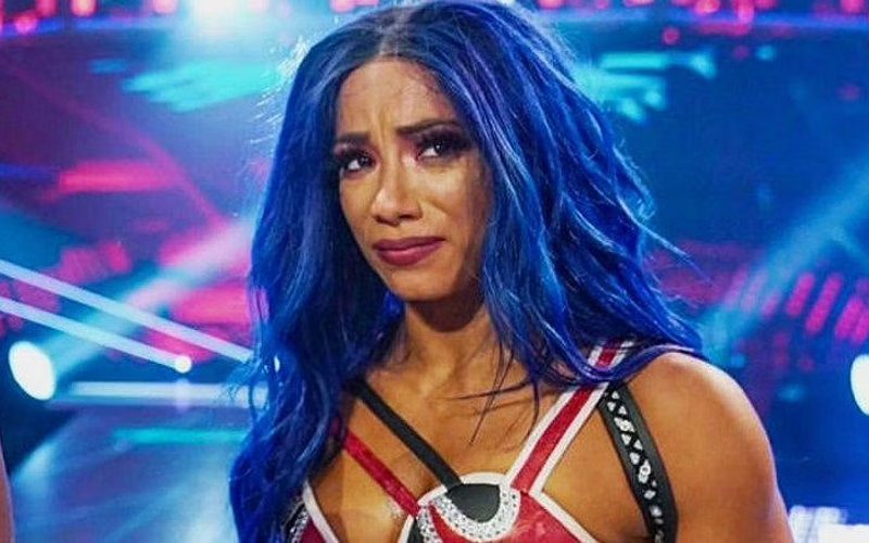 Sasha Banks Has Backstage Heat With People Who Are Normally Anti-Management In WWE