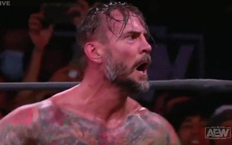 CM Punk Ripped For His Disrespectful Comments About Hulk Hogan