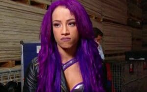 4 Times Sasha Banks Was Involved In Backstage Controversy