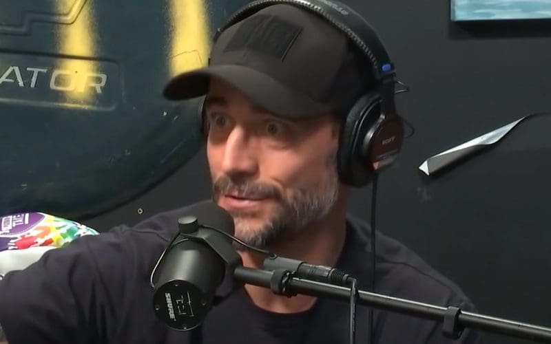 CM Punk Believes Pro Wrestling Is Thriving Thanks To AEW