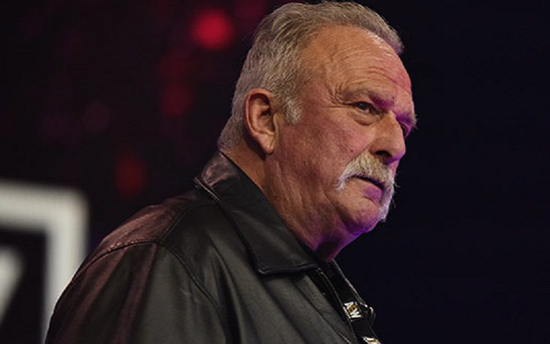 Jake Roberts Hates That AEW Talent Chose To Have A Fight After All Out