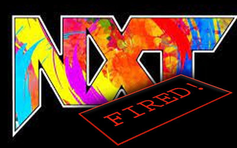 WWE Had Different Name On Original NXT Release List