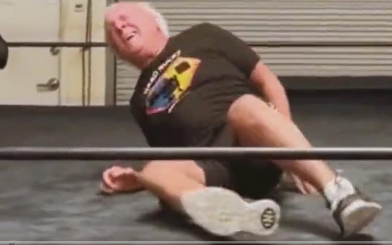 Ric Flair Still Taking Bumps In The Pro Wrestling Ring