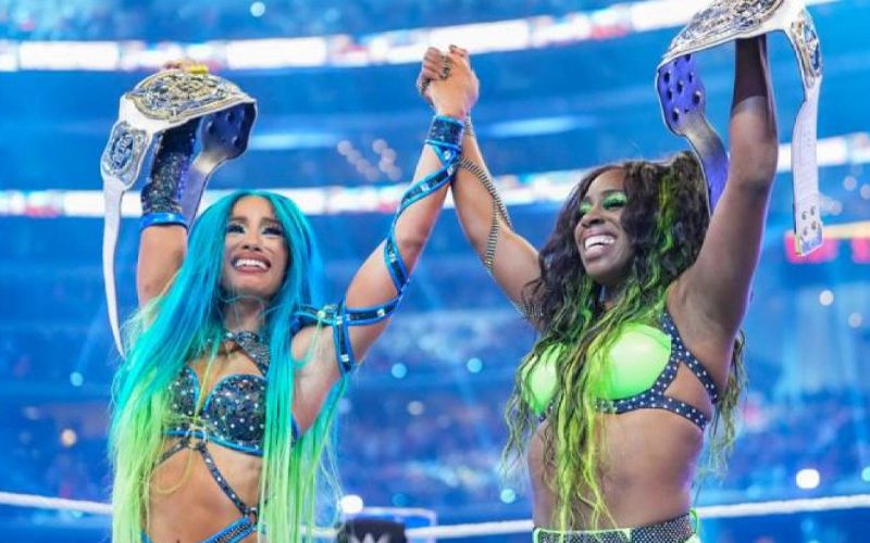 Renee Paquette Says WWE Women’s Tag Team Titles Were Only Important For ’30 Seconds’