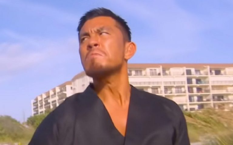 Ex-WWE Writer Reveals Original Plan When Tozawa Was Eaten By A Shark