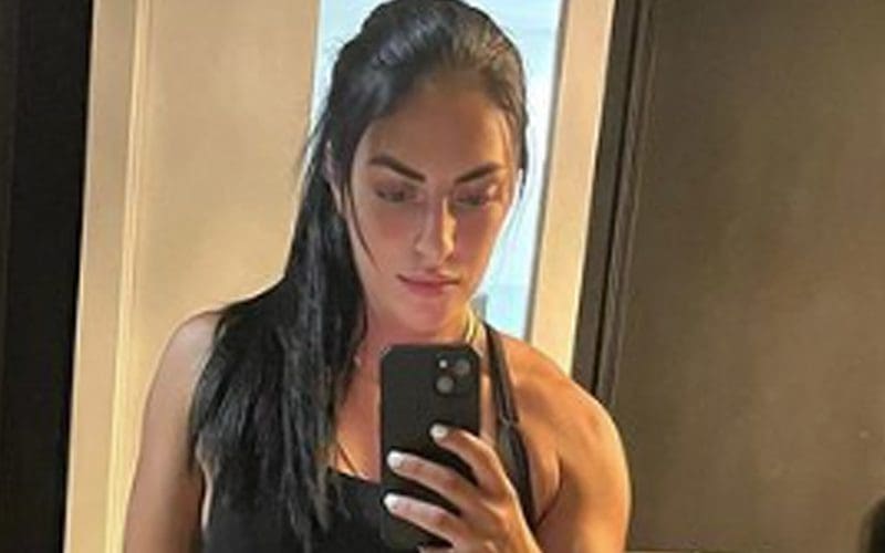Sonya Deville Proves She Stays Ready In Gorgeous Black Underwear Photo Drop