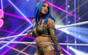 Sasha Banks Charging $30k For Non-Wrestling Bookings