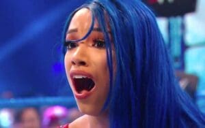 Sasha Banks Name Was Dropped During Awkward Botch In Women's Money In The Bank Ladder Match