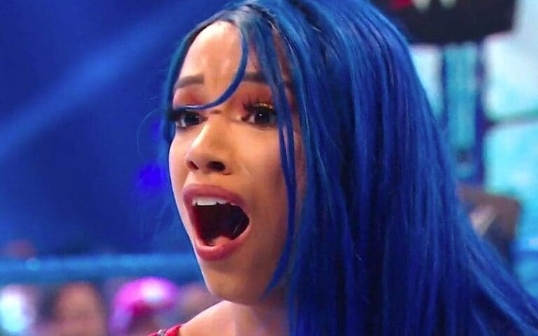 Sasha Banks Name Was Dropped During Awkward Botch In Women's Money In The Bank Ladder Match