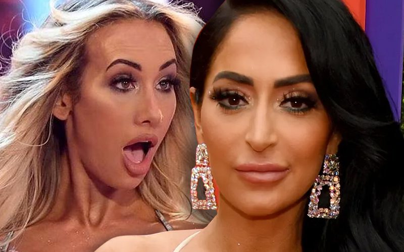 Jersey Shore Star Angelina Pivarnick Trashes Carmella Over Stealing Her Line