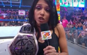 WWE Only Vacated 1/2 Of NXT Women's Tag Team Titles