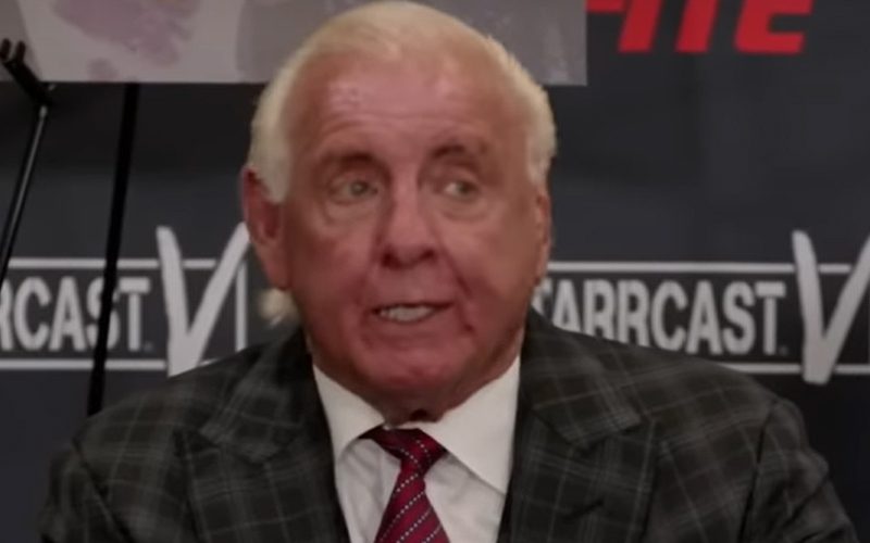 Ric Flair Had An Embarrassing Strip Club Incident After His Last Match